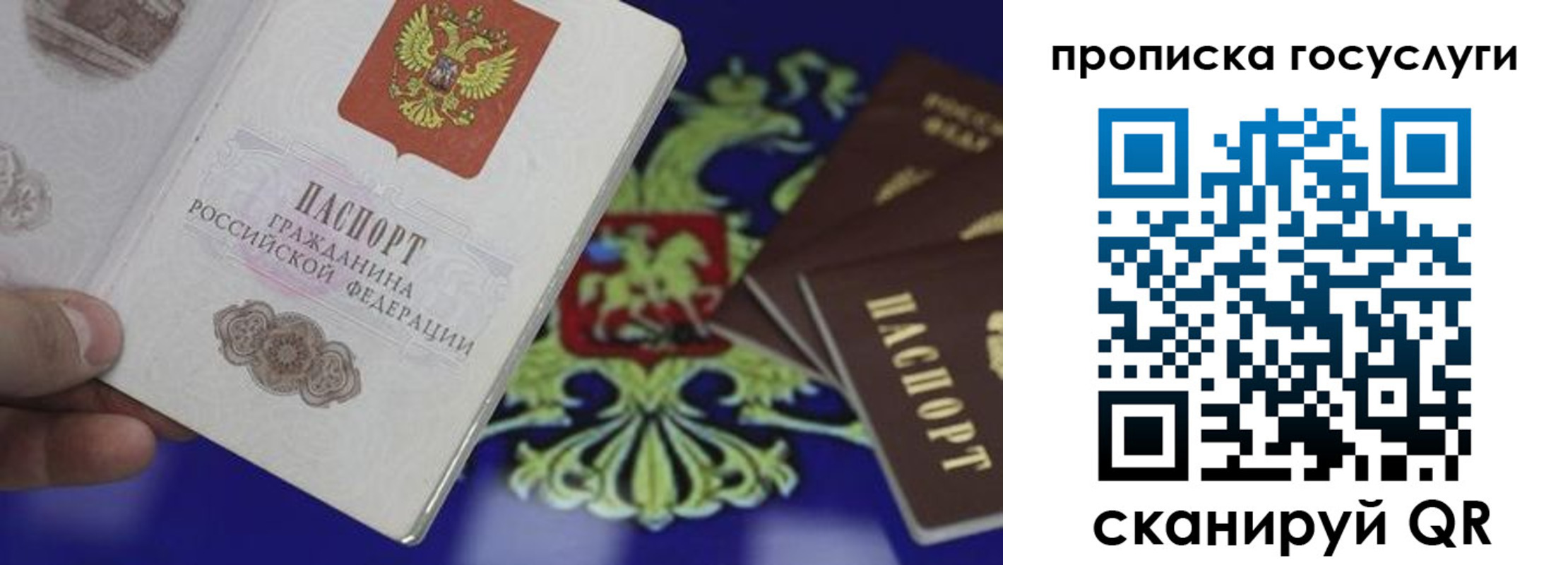 прописка для школы в Озёрске